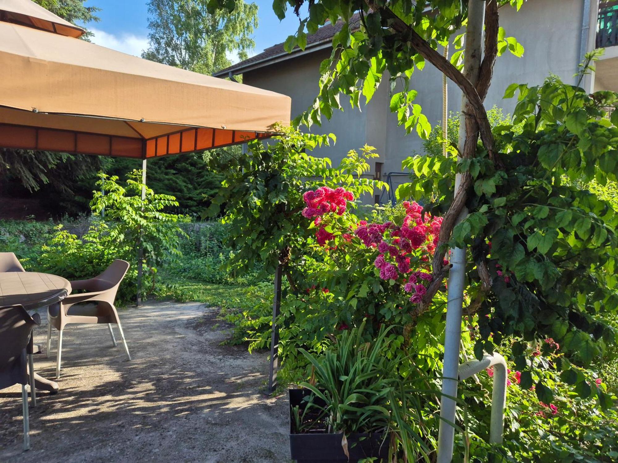 Apartment Dedine Golubac Bagian luar foto