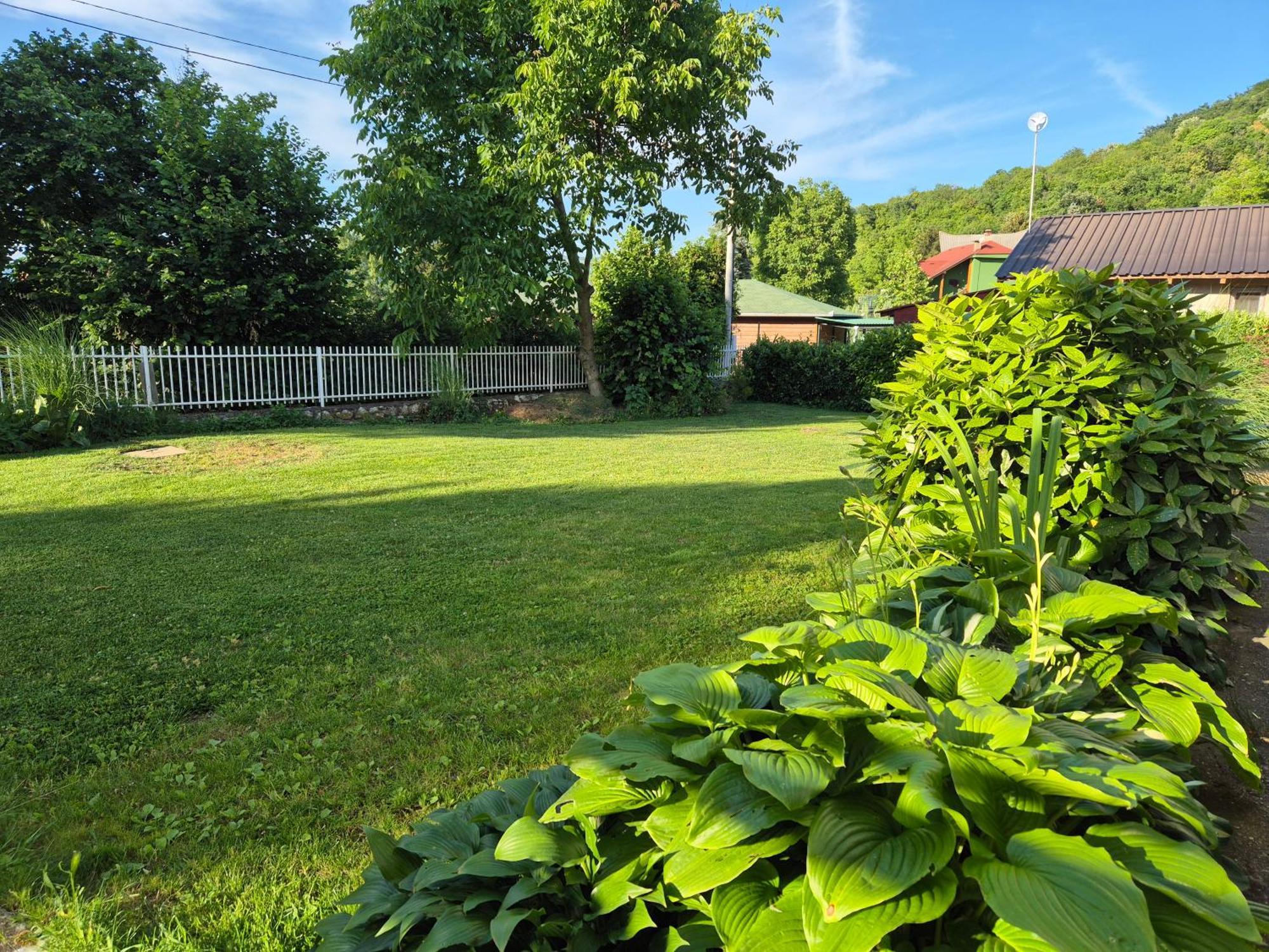 Apartment Dedine Golubac Bagian luar foto