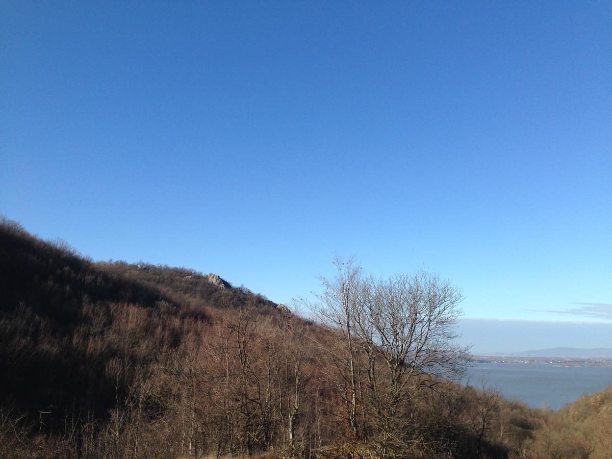 Apartment Dedine Golubac Bagian luar foto