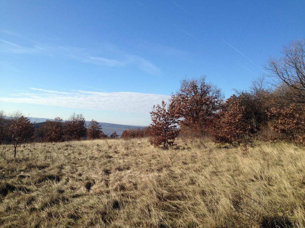 Apartment Dedine Golubac Bagian luar foto