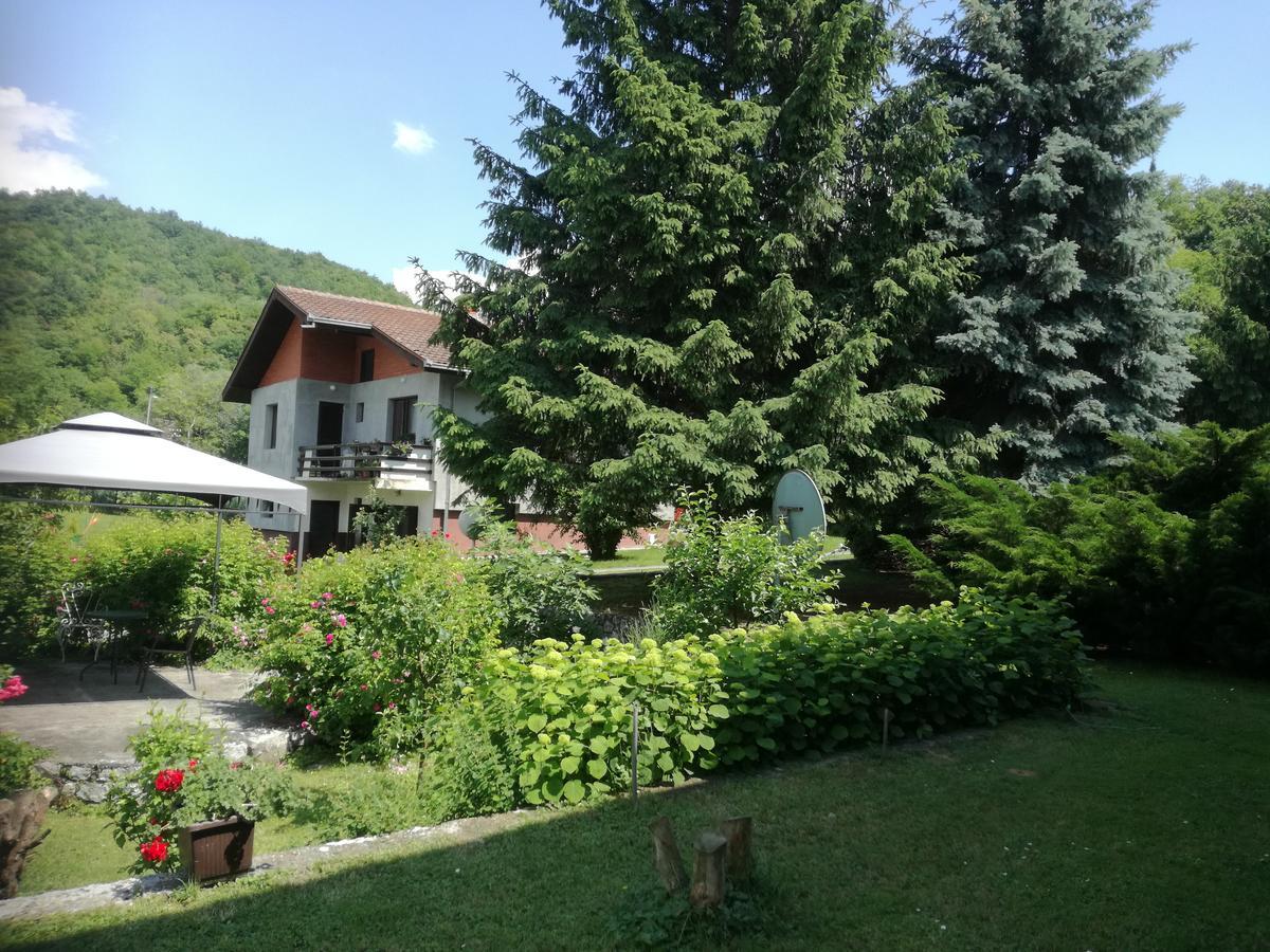 Apartment Dedine Golubac Bagian luar foto