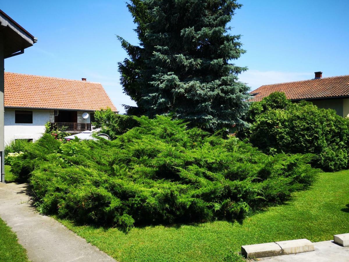 Apartment Dedine Golubac Bagian luar foto