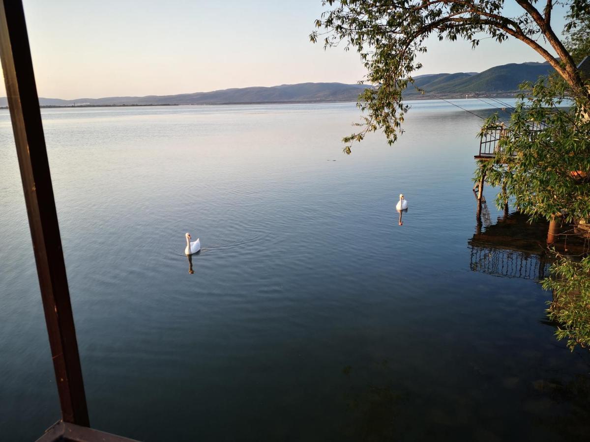 Apartment Dedine Golubac Bagian luar foto